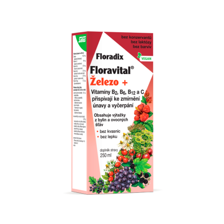 FLORADIX Floravital Železo+ 250 ml